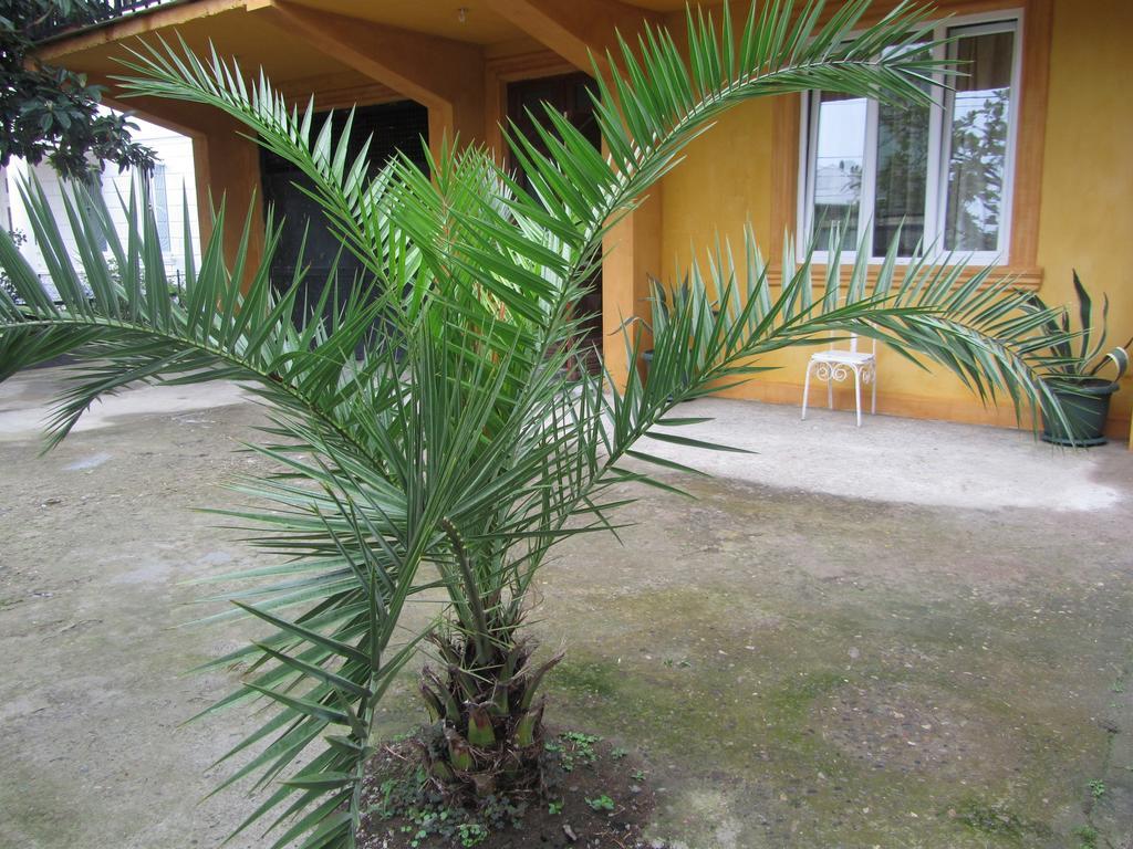 Suliko Guest House Batumi Exterior photo